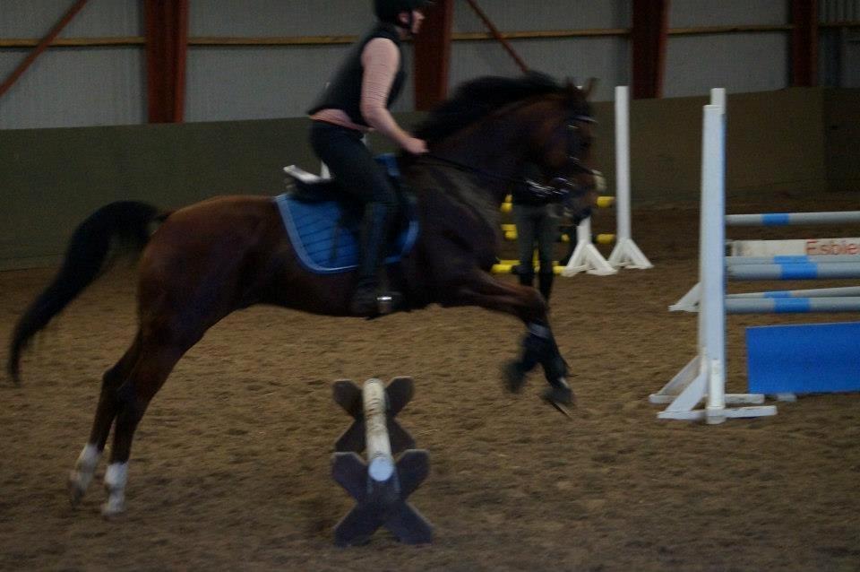 Springkursus v Philip Lóven  billede 15