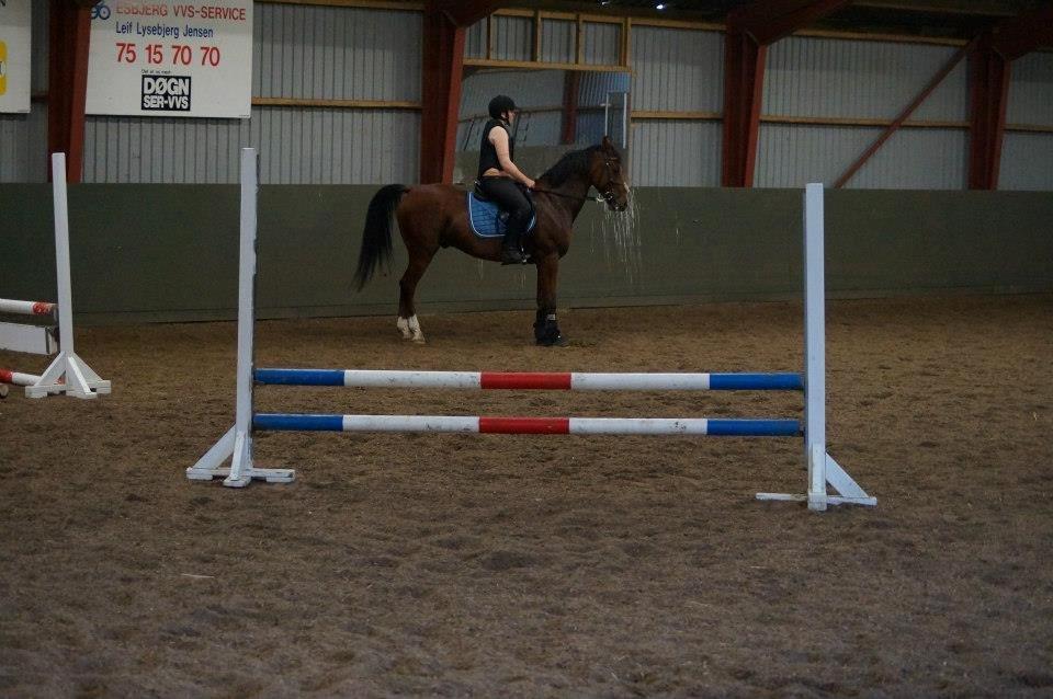 Springkursus v Philip Lóven  billede 16