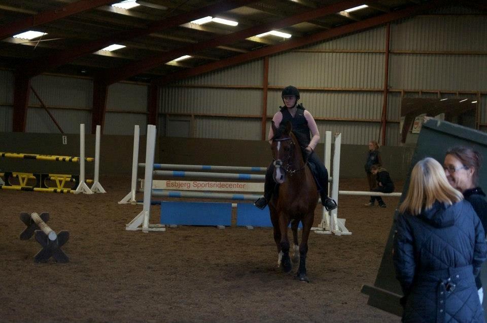 Springkursus v Philip Lóven  billede 17