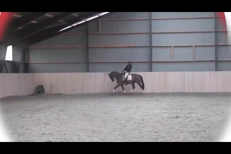 Cedergaard-ridecenter billede 5