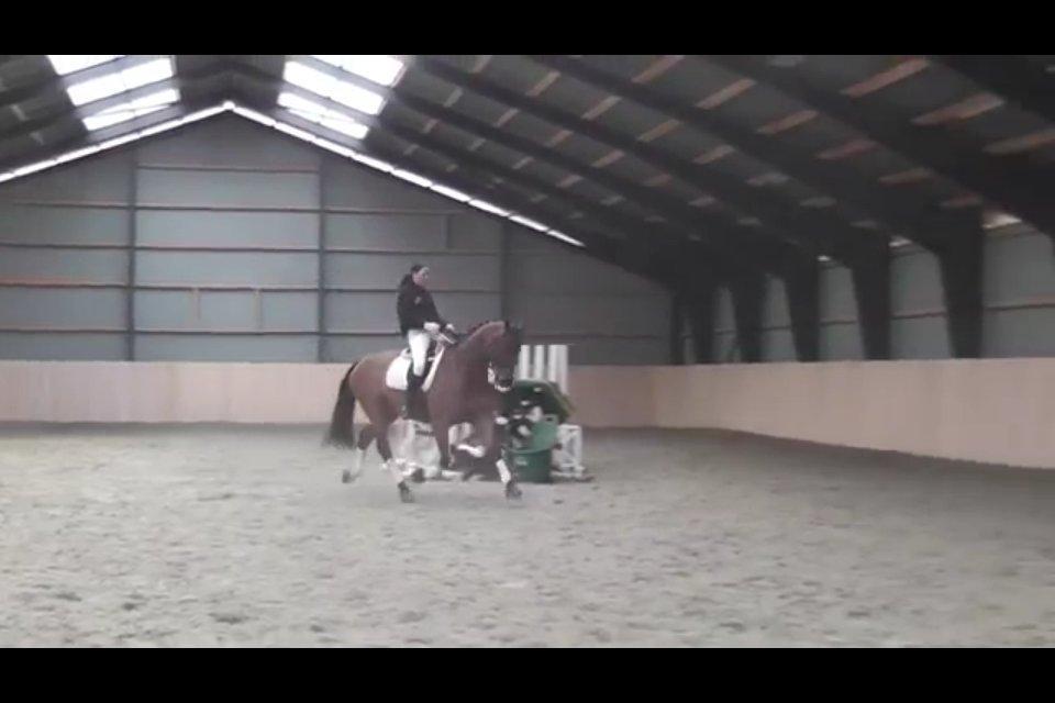 Cedergaard-ridecenter billede 8