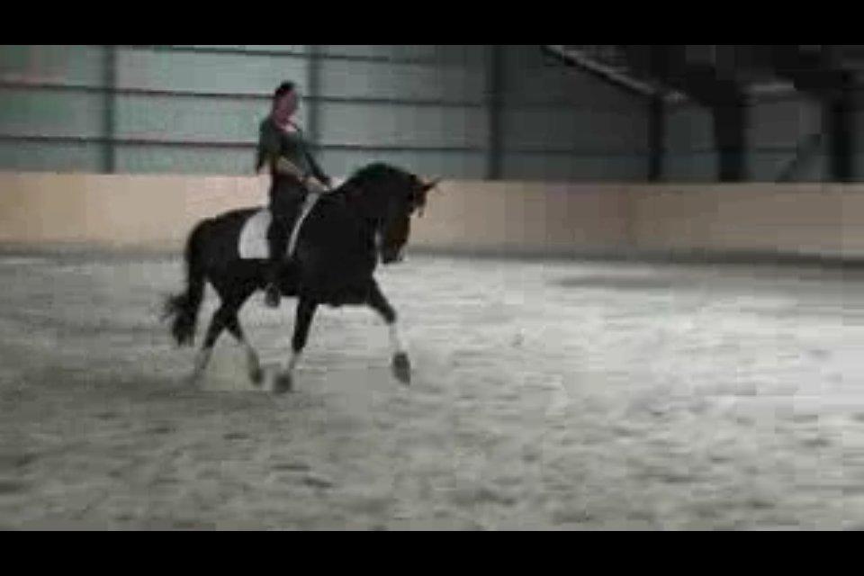 Cedergaard-ridecenter billede 20