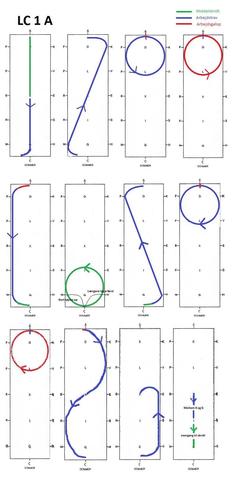 Dressur programmer Bane A - LC1 A billede 1