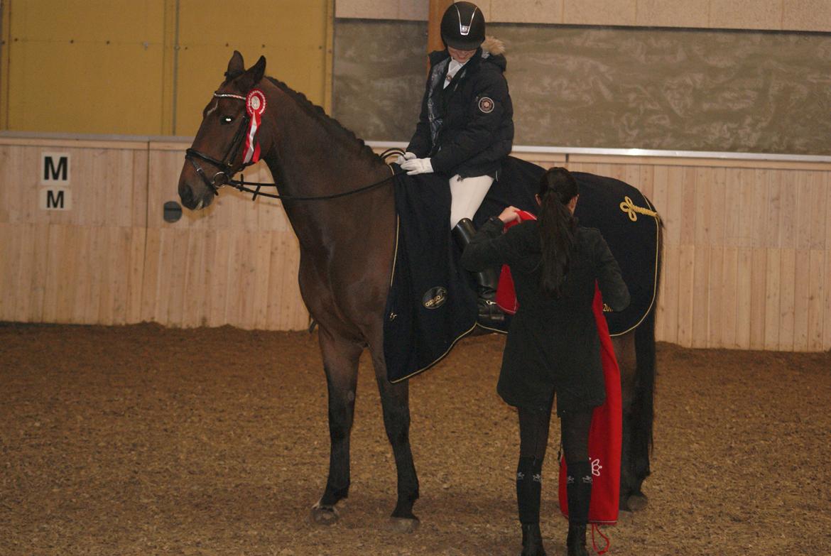 Futte som dressurhest billede 15