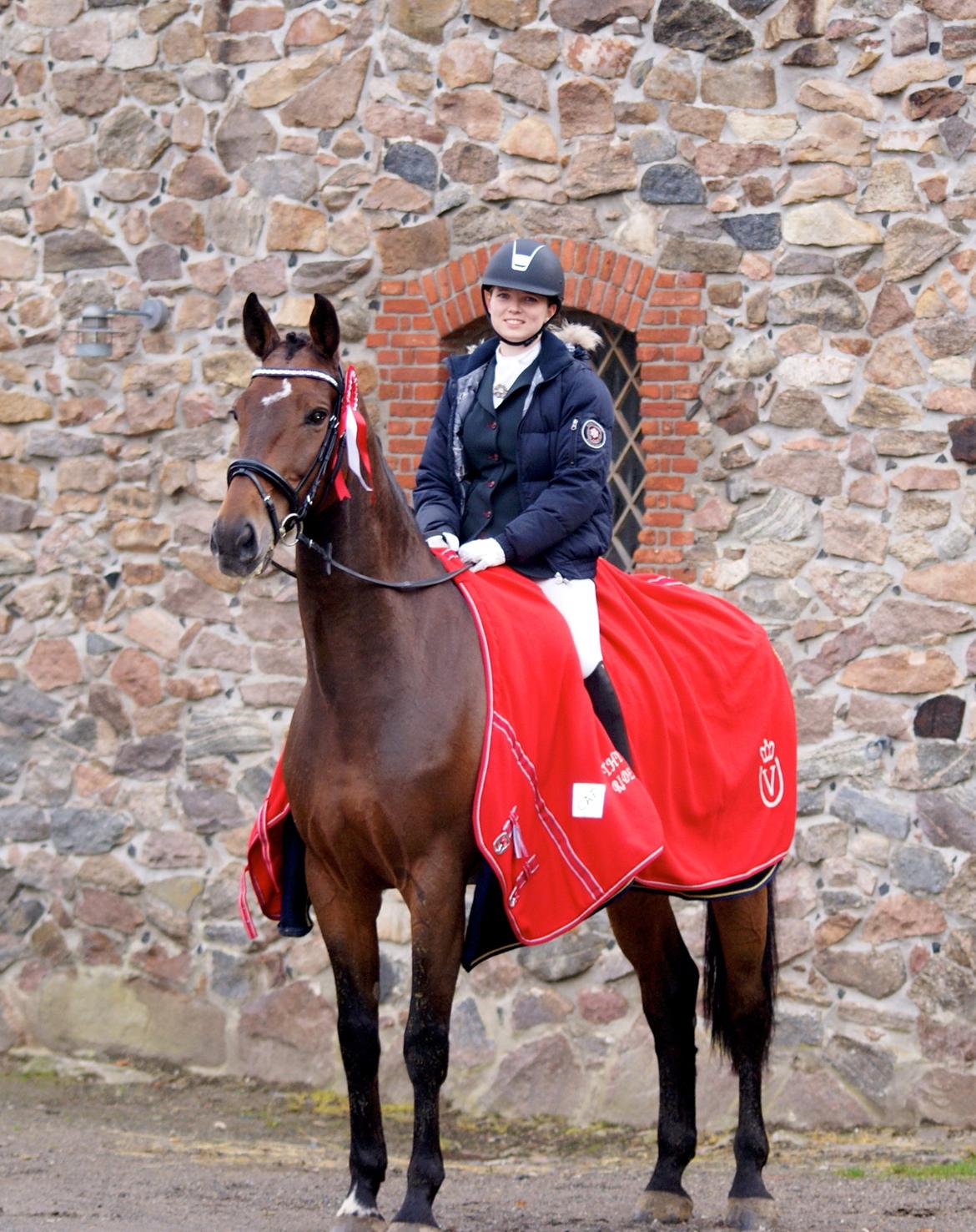 Futte som dressurhest billede 16