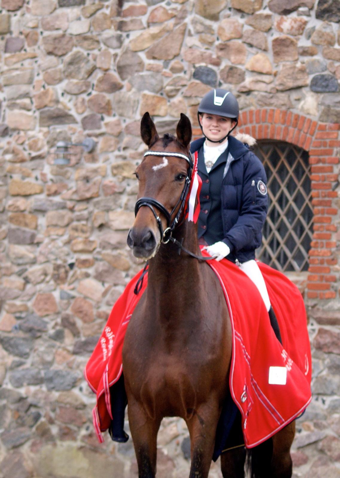 Futte som dressurhest billede 18