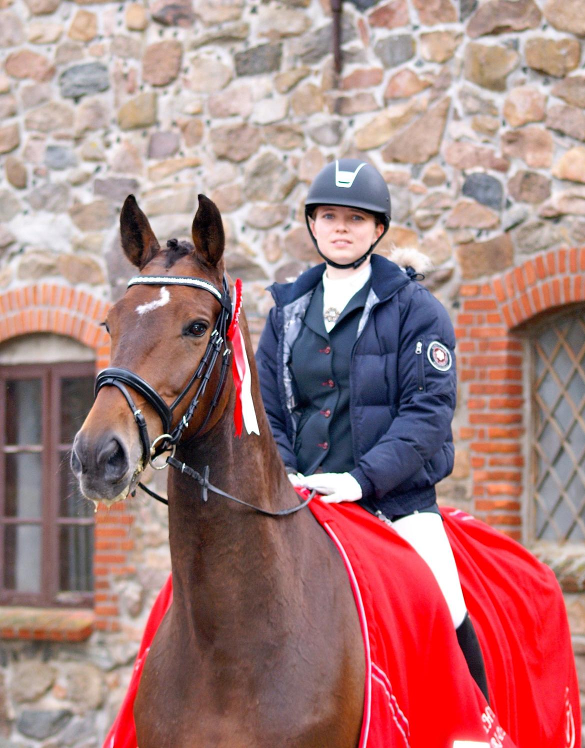 Futte som dressurhest billede 19