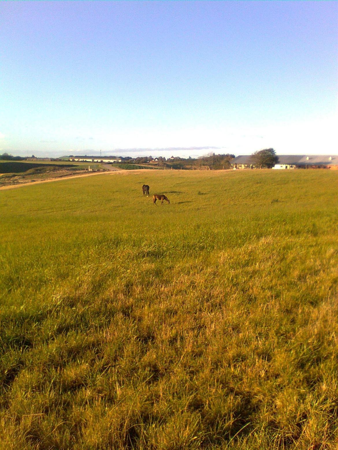 Deres nye høkasse og div billede 1