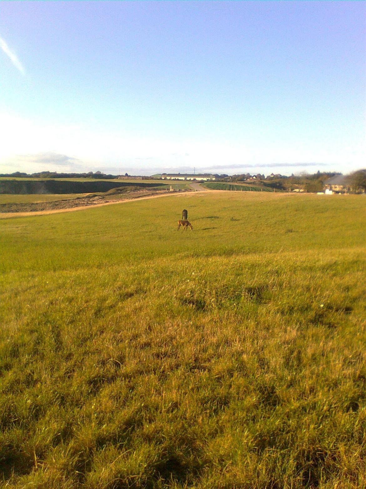 Deres nye høkasse og div billede 2