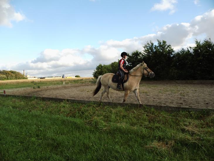 {{currentPhoto.altText}} billede {{currentPhoto.number}}