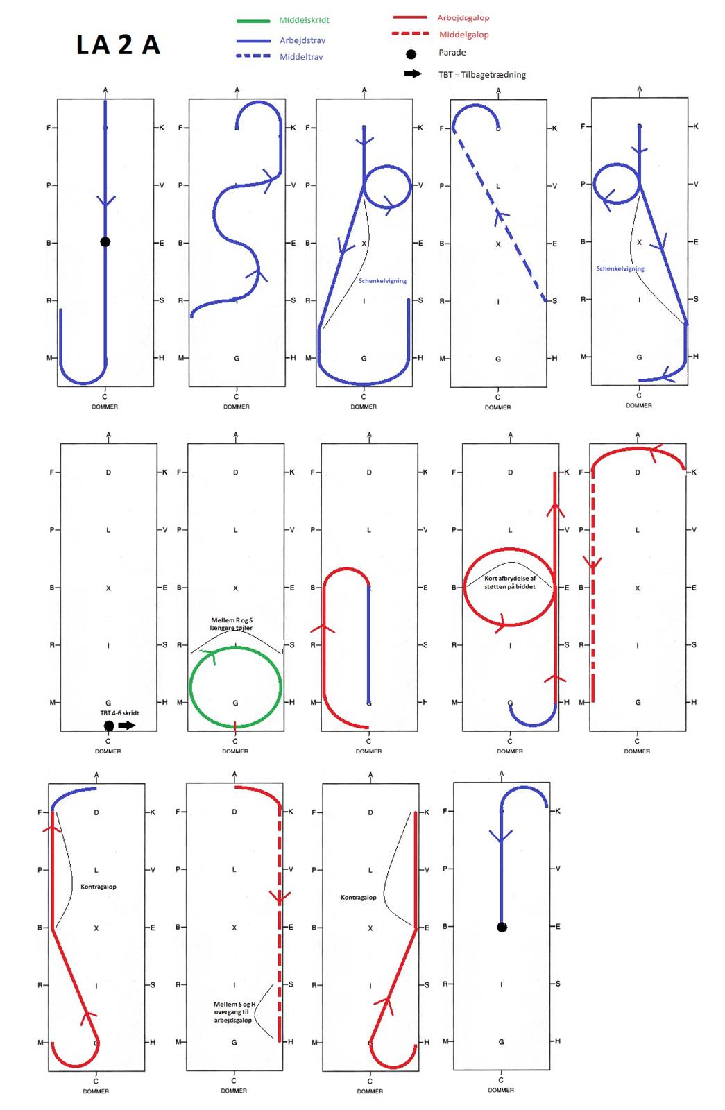 Dressur programmer Bane A - LA 2 A billede 8