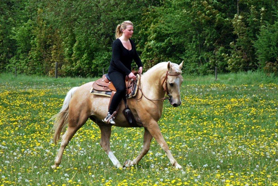 Verdens smukkeste palomino <3 billede 4