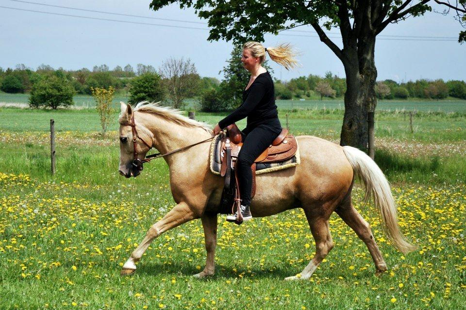 Verdens smukkeste palomino <3 billede 5