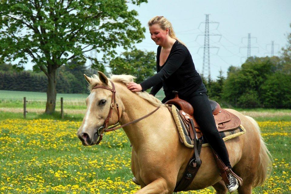 Verdens smukkeste palomino <3 billede 6