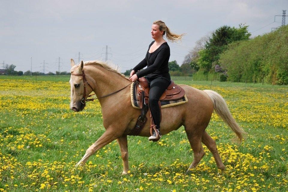 Verdens smukkeste palomino <3 billede 7