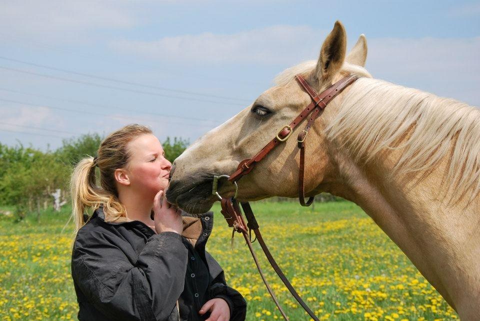 Verdens smukkeste palomino <3 billede 12