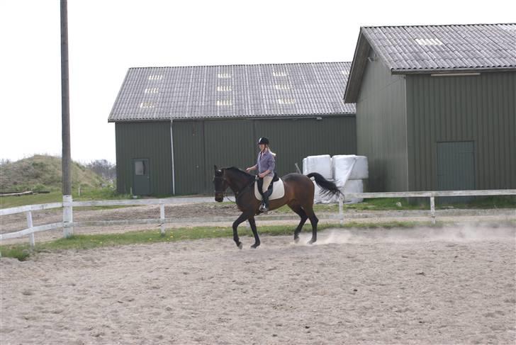 Tøserne og deres veninder billede 1