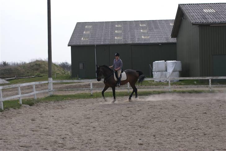 Tøserne og deres veninder billede 2