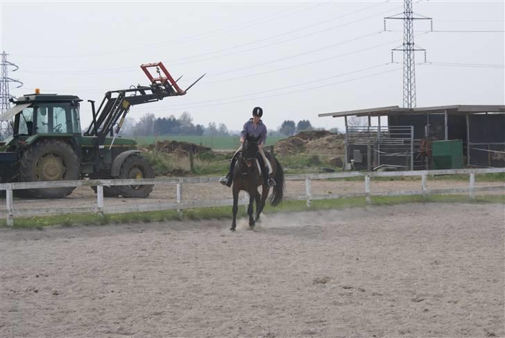 Tøserne og deres veninder billede 3