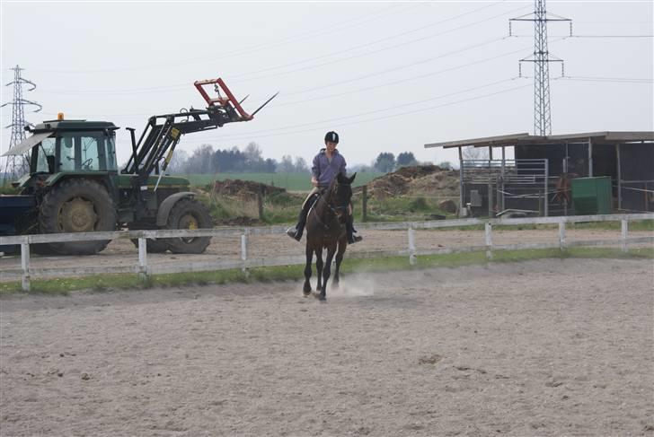 Tøserne og deres veninder billede 4