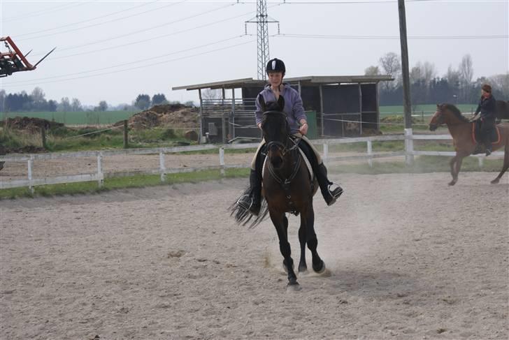 Tøserne og deres veninder billede 5