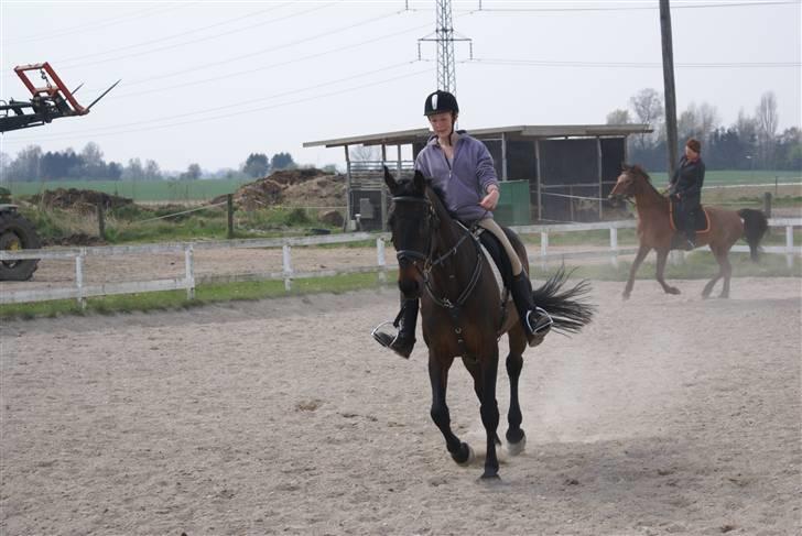 Tøserne og deres veninder billede 6