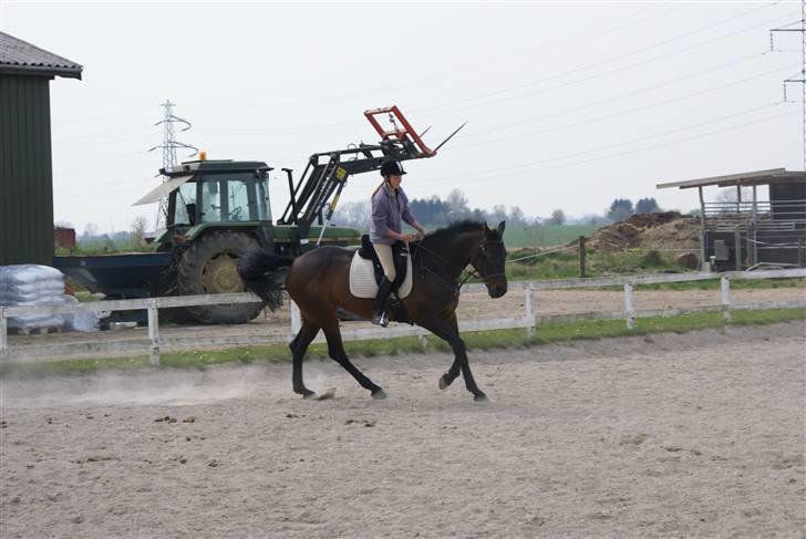 Tøserne og deres veninder billede 7