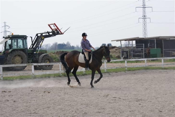 Tøserne og deres veninder billede 8