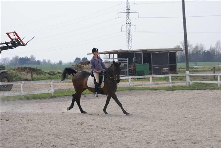 Tøserne og deres veninder billede 9