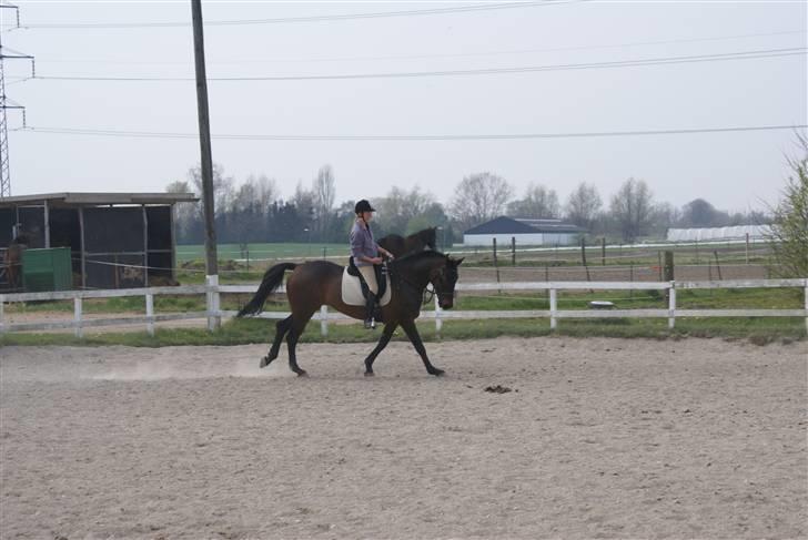 Tøserne og deres veninder billede 10