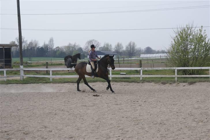 Tøserne og deres veninder billede 11