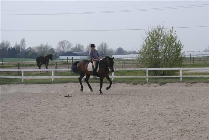 Tøserne og deres veninder billede 12