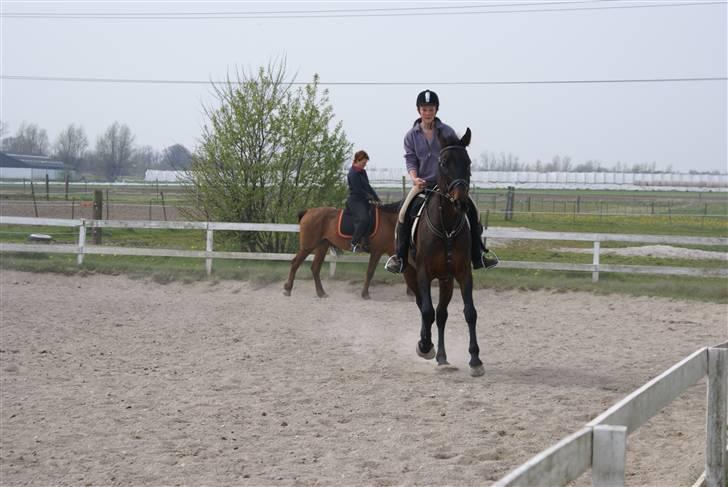 Tøserne og deres veninder billede 13