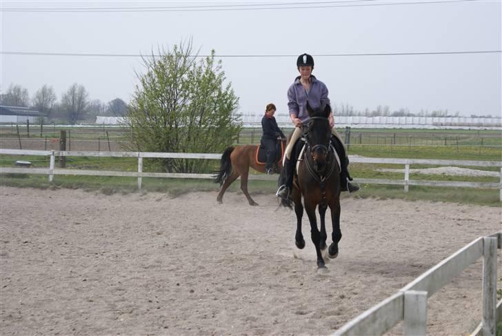 Tøserne og deres veninder billede 14