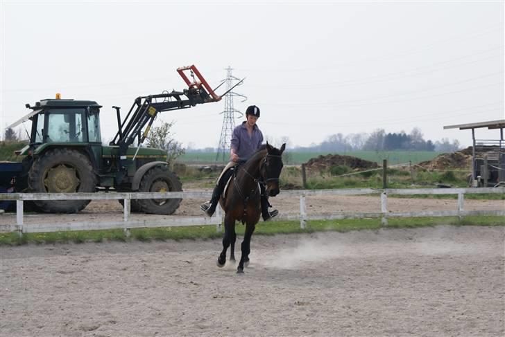 Tøserne og deres veninder billede 15