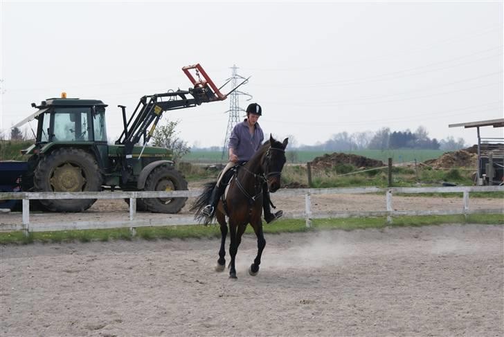 Tøserne og deres veninder billede 16