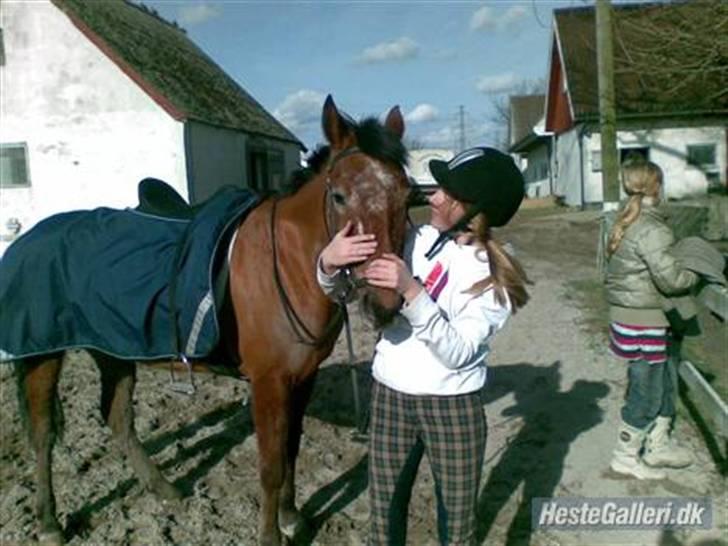 Tøserne og deres veninder billede 17