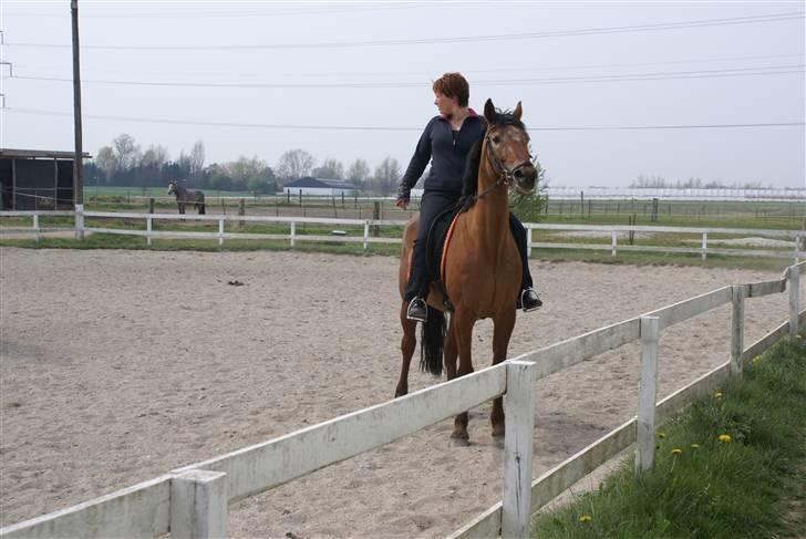 Tøserne og deres veninder billede 20