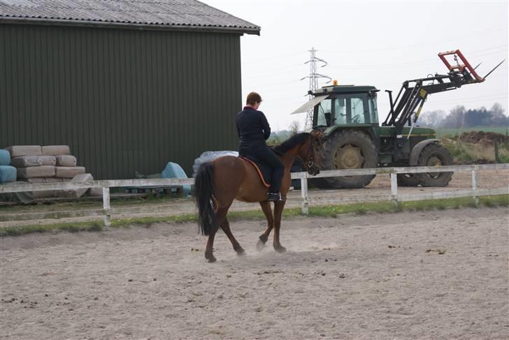 Tøserne og deres veninder billede 21