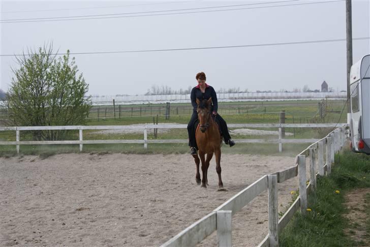 Tøserne og deres veninder billede 22