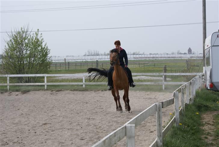 Tøserne og deres veninder billede 23