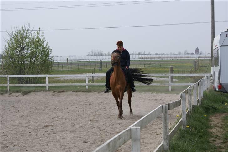 Tøserne og deres veninder billede 24