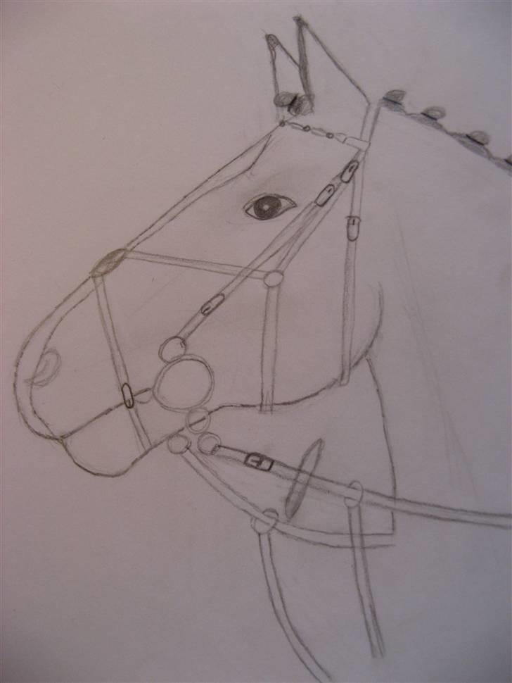 Heste tegninger  - Det skal så forstille Comick xb billede 2