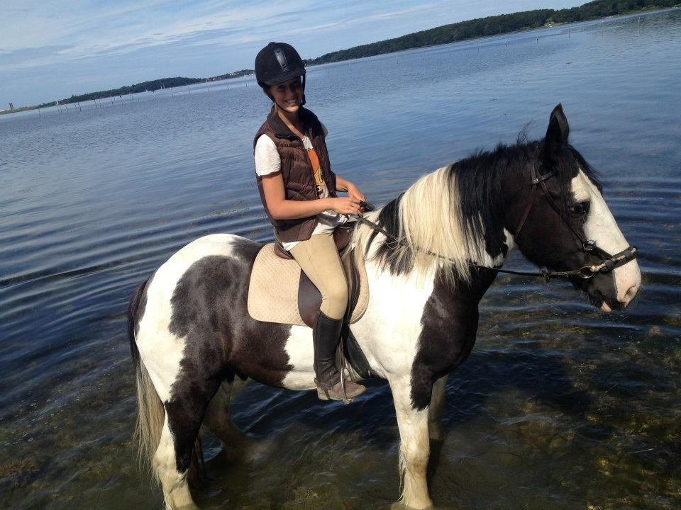 Alle heste jeg har redet i mit liv. <3 - William Tinker-vallak
Ham her er den største hest på VOSK og d.4. august red jeg tur med min storesøster Christine og min lillesøster Emma, hvor de red henholdsvis Tashunga(som står her) og Pletten, en knapstrupperpony. :) 
Det var en super hyggelig tur, men han er en rigtig tøsedreng som skulle til at stikke af med mig i skoven.
Står endnu på VOSK billede 40