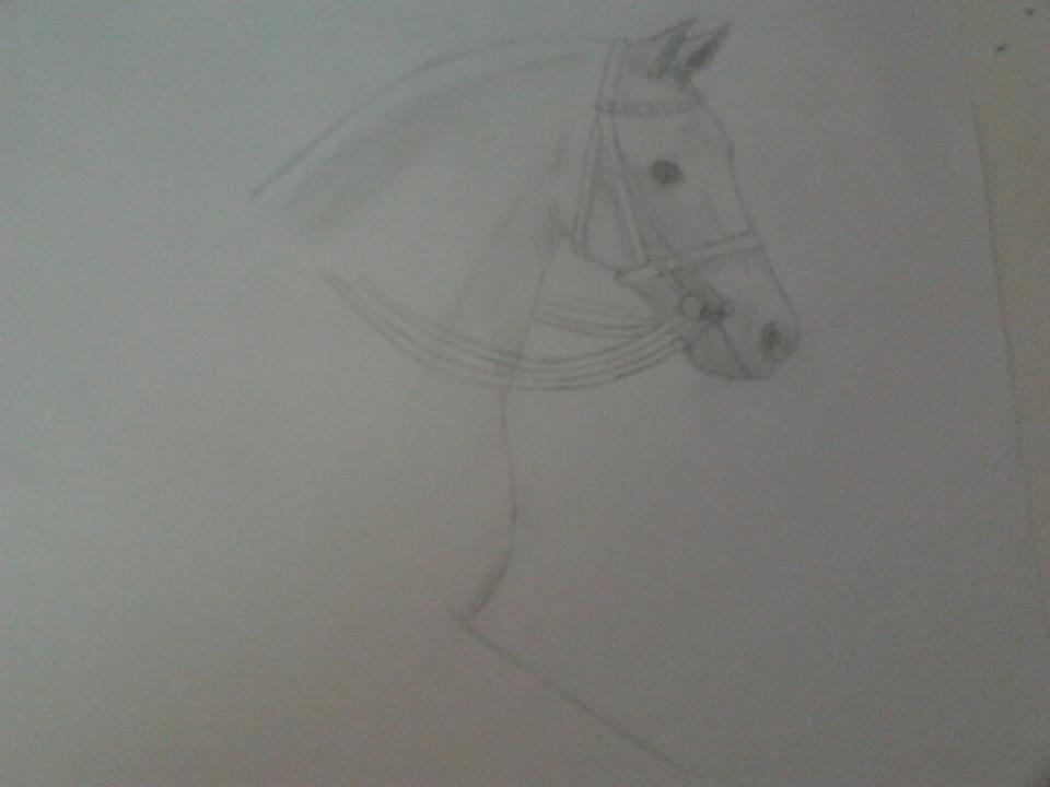 Mine tegninger - starten på en tegning af fuego XII billede 10