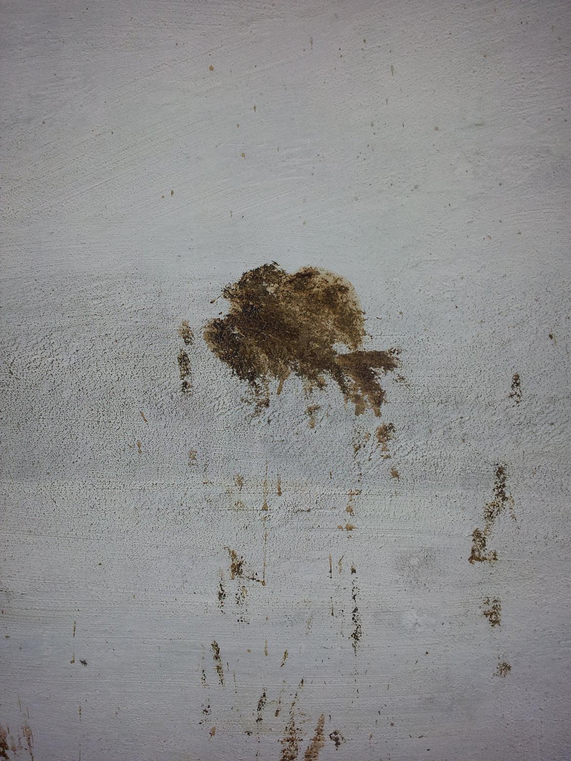 Luna´s numse-kunst :-) - Kakaduen :-) billede 2