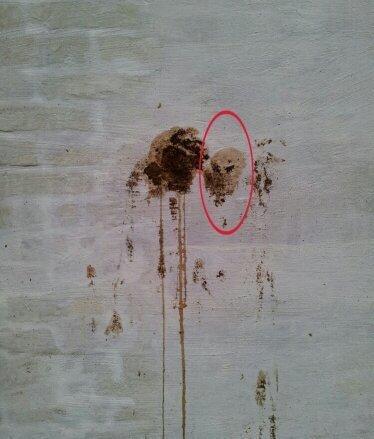 Luna´s numse-kunst :-) - En lille Alien :-D billede 3