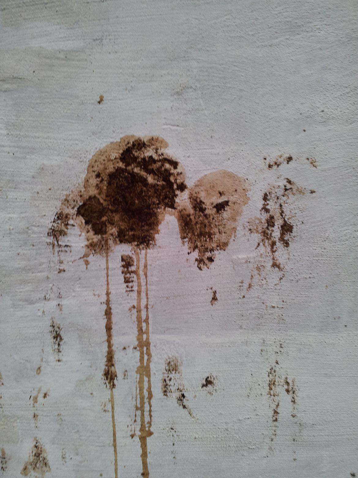 Luna´s numse-kunst :-) - :-) billede 4