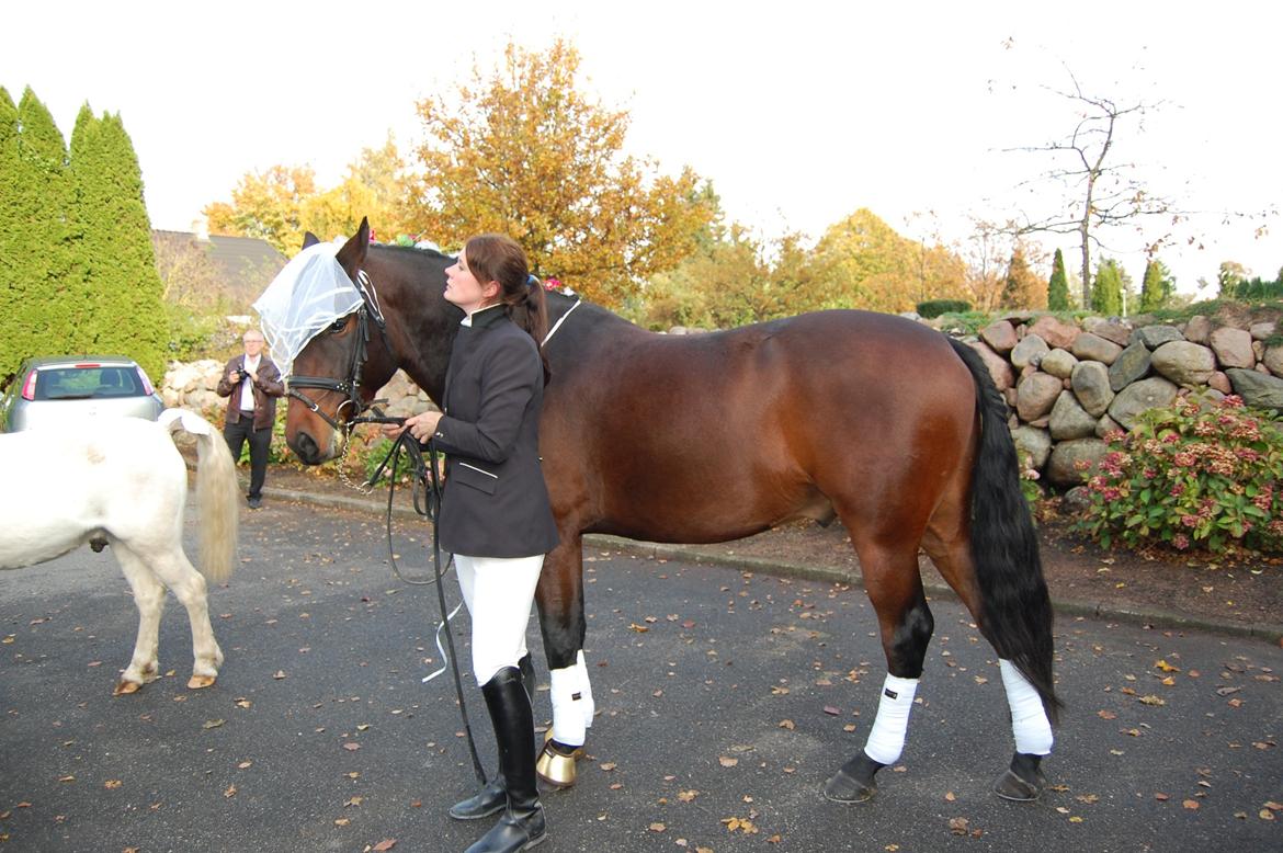 mit bryllup den 20 oktober billede 3