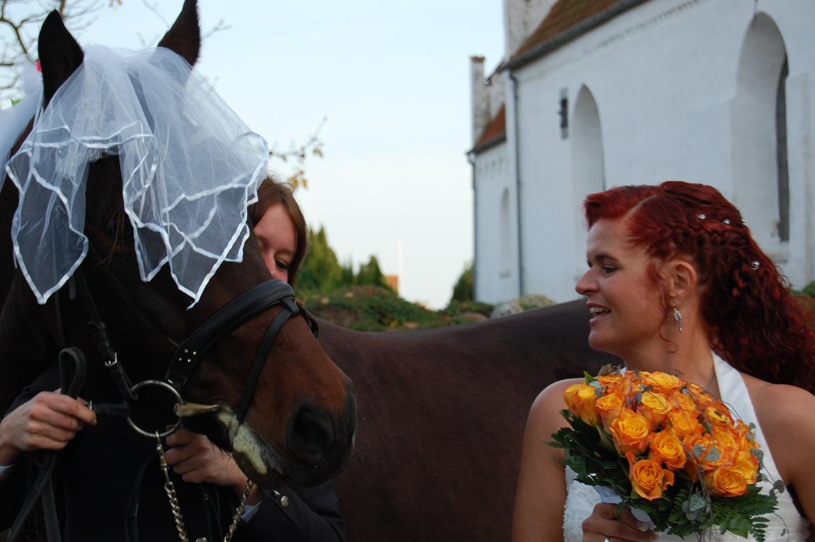 mit bryllup den 20 oktober billede 5